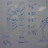 cation notes